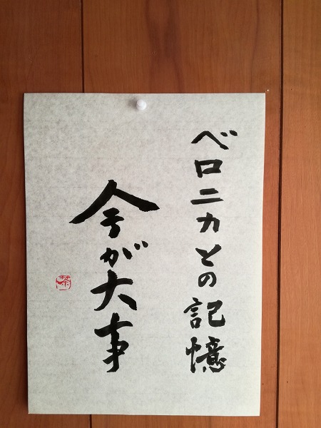 『ベロニカとの記憶』の感想を毛筆で書いた画像

今が大事